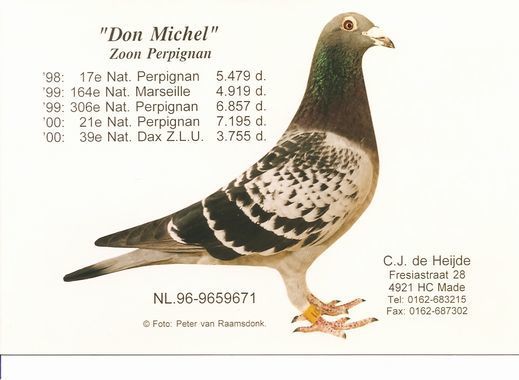 Don-Michel-96-671--45.jpg