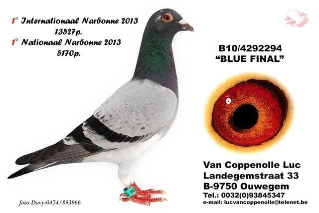 Van-Coppenolle-BlueFinal.jpg