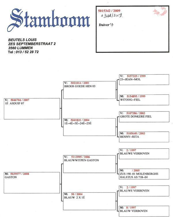 Surkijn-Gaston-pedigree.jpg