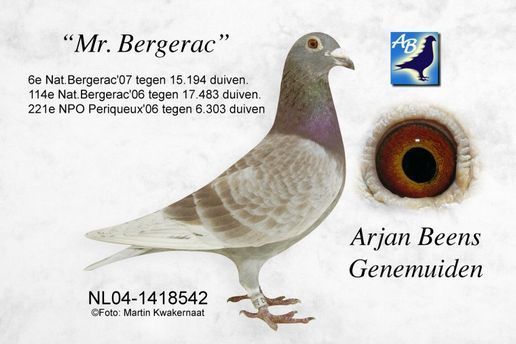 nl04-1418542_mrbergerac_beens_068.jpg