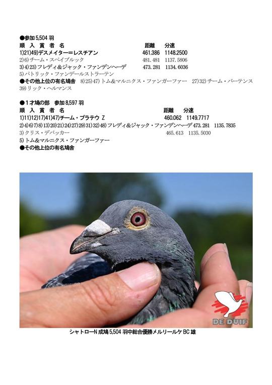 放鳩籠　コンテナ　レース鳩　移送　搬送　輸送　愛鳩の友　コンテナー　キャディーB チャンピオンダイジェスト - レース鳩に関する情報・商品を取り扱うサイト