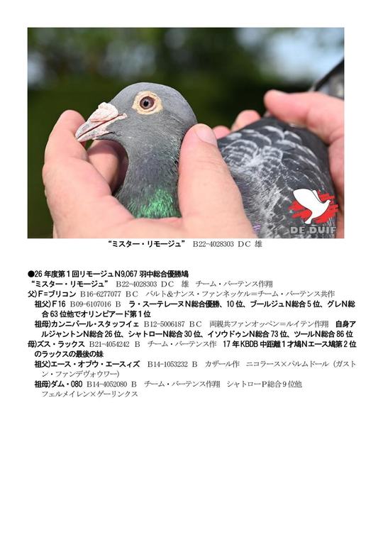 チャンピオンダイジェスト - レース鳩に関する情報・商品を取り扱うサイト