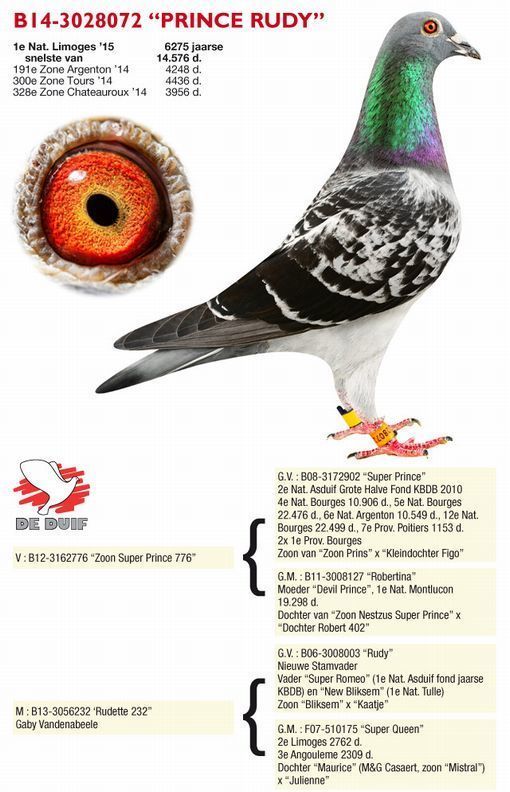 2015年リモージュ（ベルギー）ⅡN